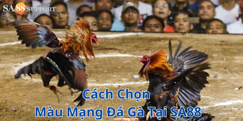 Cách chọn màu mạng đá gà tại SA88